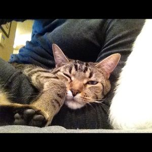 Meet your Posher, Brendan